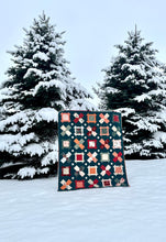 Load image into Gallery viewer, Bare Roots Paper Quilt Pattern